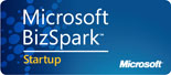 Biz Spark