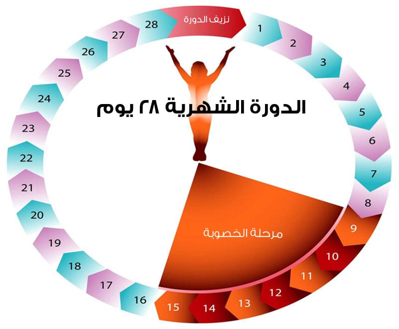 قلة الافرازات بعد التبويض من علامات الحمل