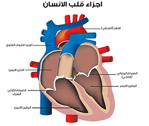   2013 2014 2015 امراض-القلب.jpg