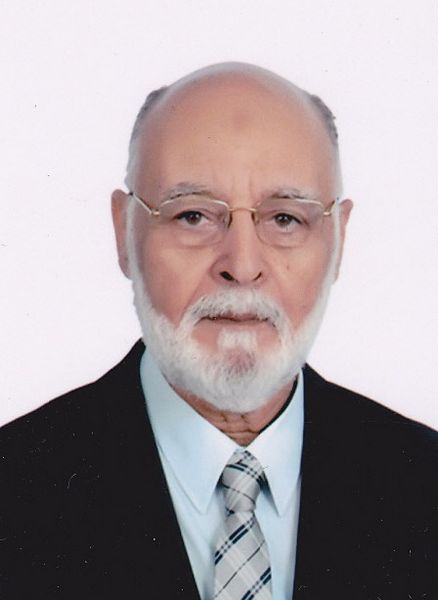 محمد بهاء الدين هلالى